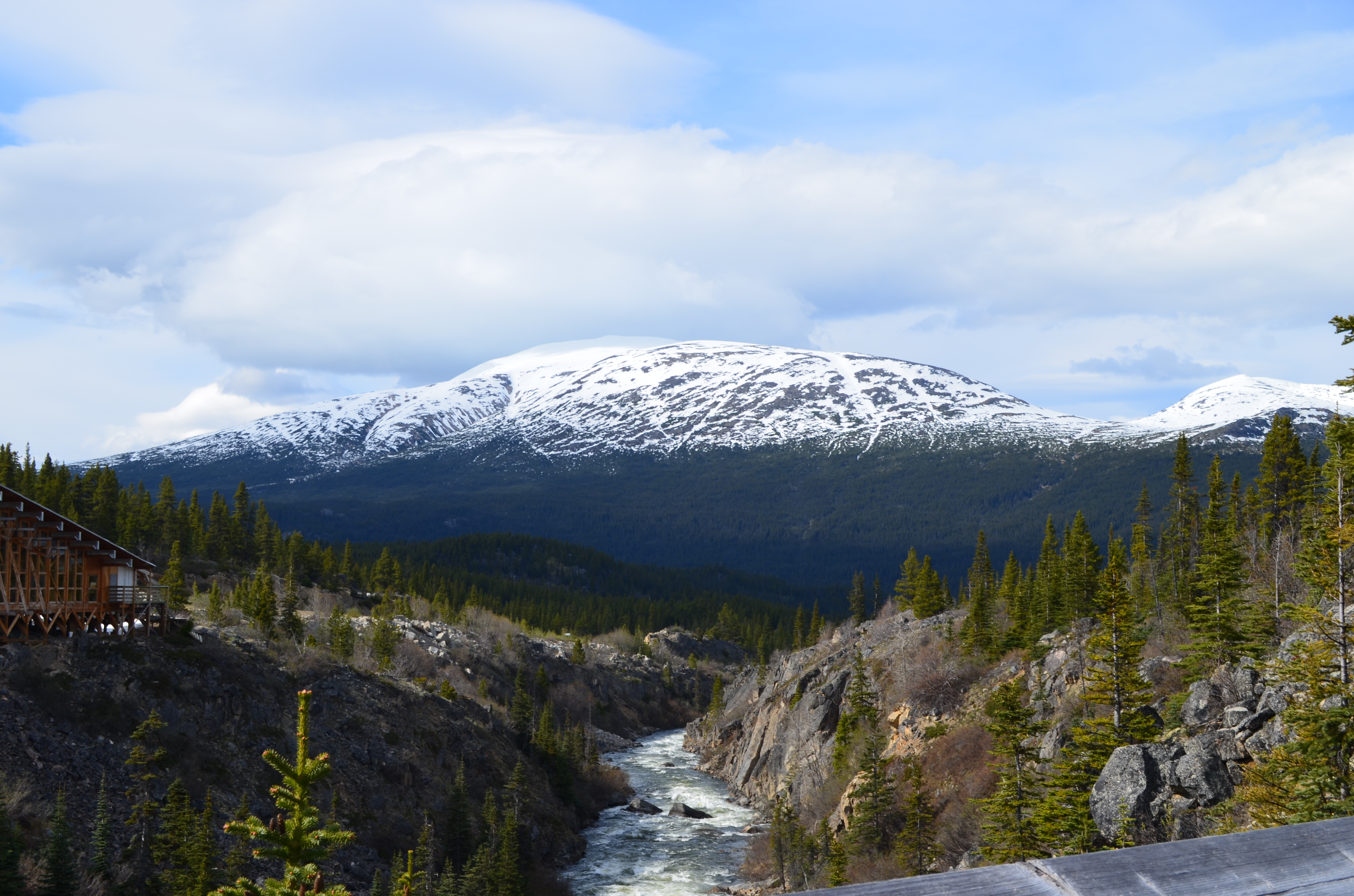 ./2017/08 - Alaska Cruise/09 - Skagway/DSC_0095.JPG
